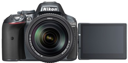 D5300 GR 18 140 LCD.high.jpg