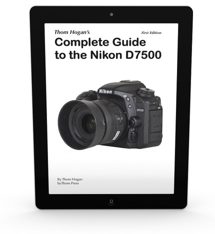 Nikon D7500 Guide Dslrbodies Thom Hogan