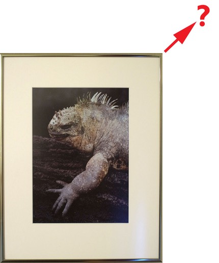 printsize.jpg